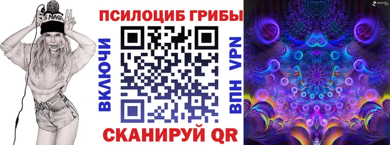 купить   Архангельск  Псилоцибиновые грибы Psilocybine cubensis 